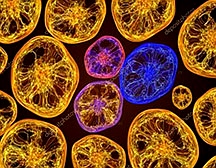 微生物實驗室建設(shè)