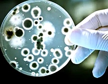 細胞實驗室建設