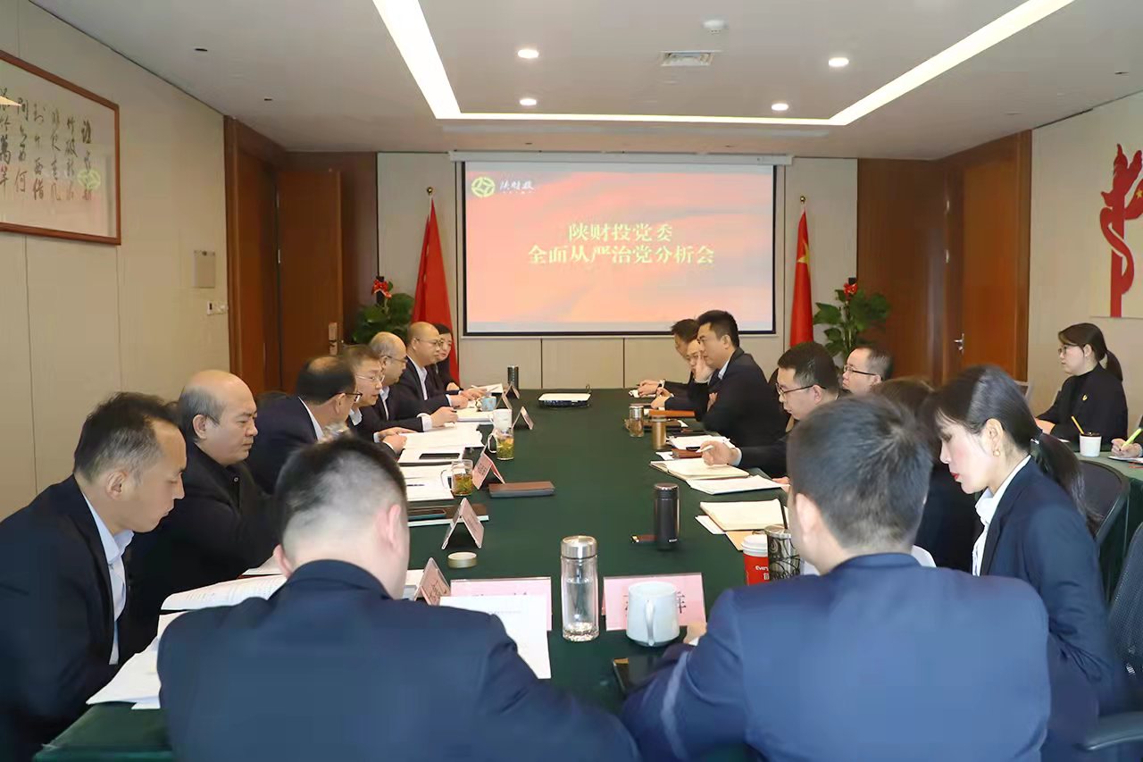 陜財(cái)投黨委召開(kāi)落實(shí)全面從嚴(yán)治黨分析會(huì)